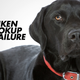 Image for article titled Dogs Are Not Your Manhood's Best Friend
